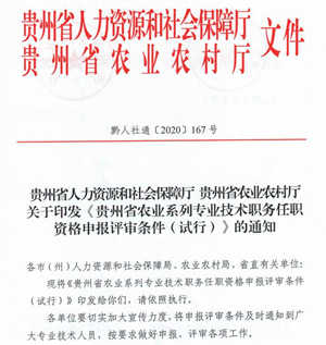 职称评审条件, 黔人社通〔2020〕167号, 农业系列