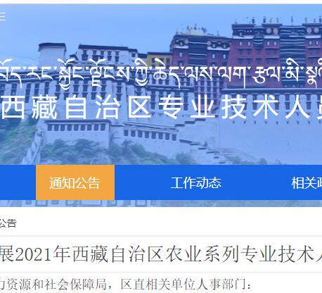 继续教育, 西藏, 专业科目